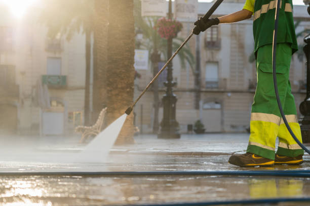 Best Dumpster Area Cleaning  in Rapid City, SD